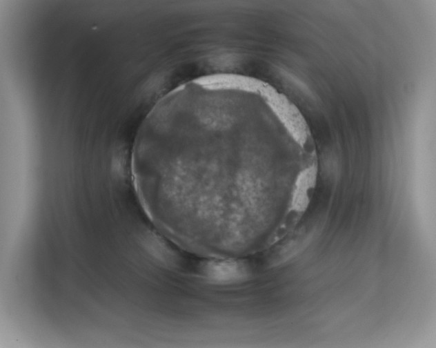 X0000111630181200908071418