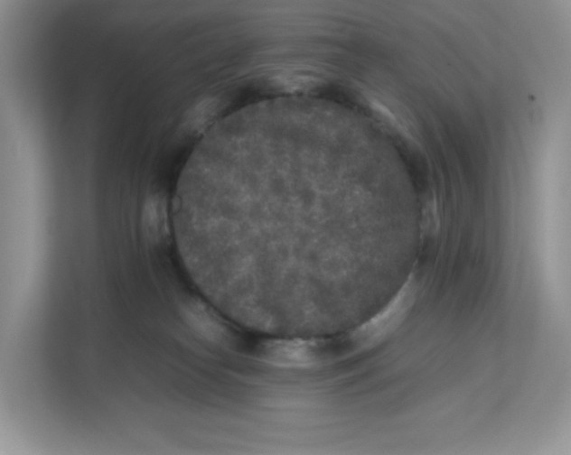 X0000111630182200908071418