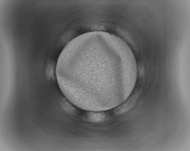 X0000111630185200908071418
