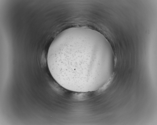 X0000111630186200908071418