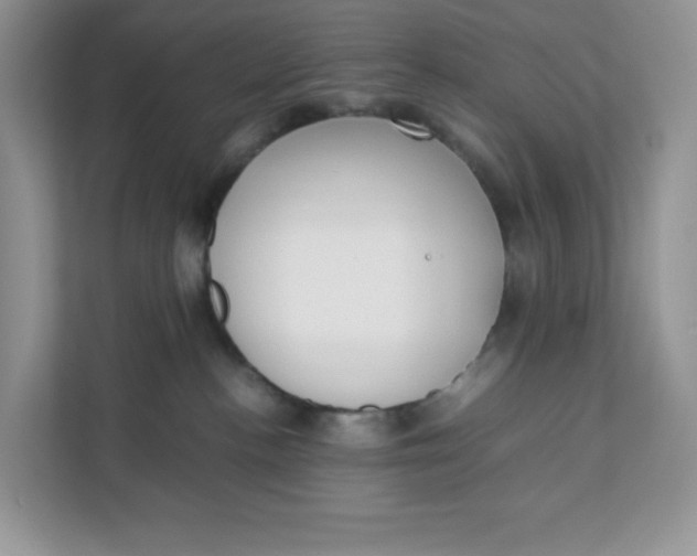 X0000111630188200908071419
