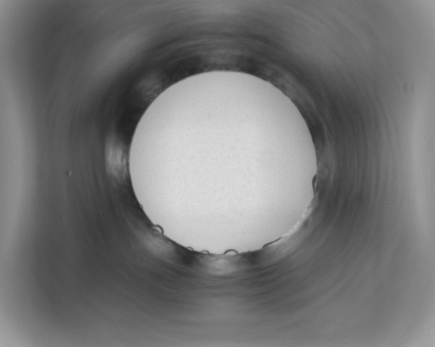 X0000111630191200908071419