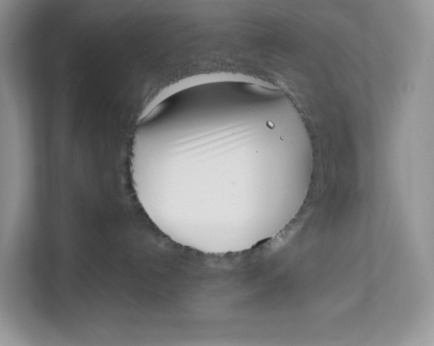 X0000111630192200908071419