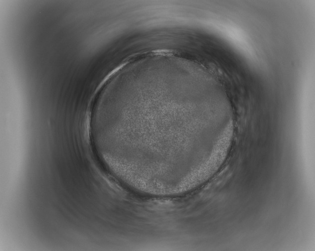 X0000111630194200908071418