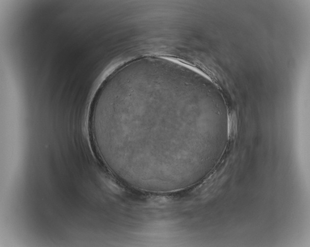 X0000111630195200908071418