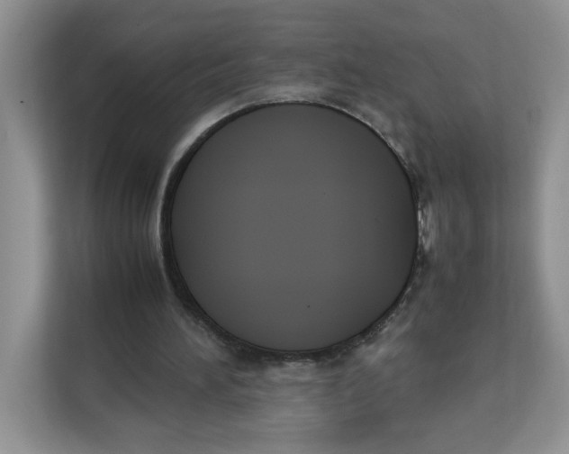 X0000111630196200908071418