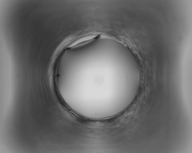 X0000111630197200908071418