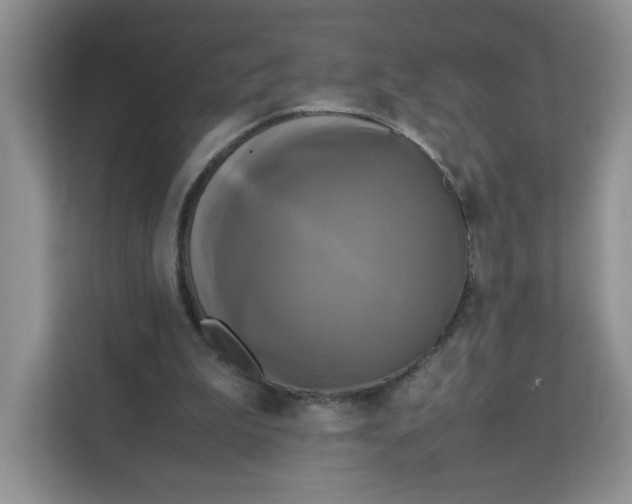 X0000111630199200908071418