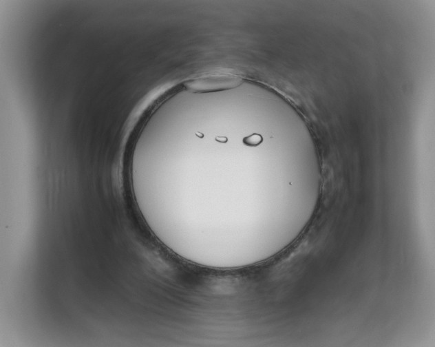 X0000111630200200908071418