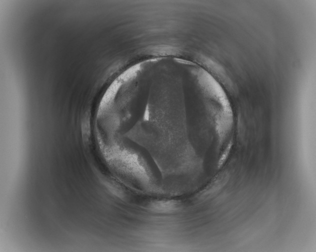 X0000111630202200908071418