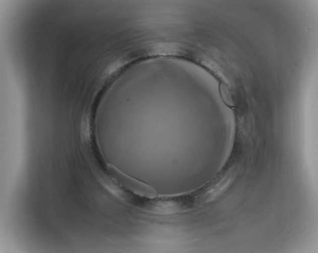 X0000111630203200908071418