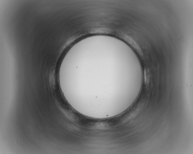 X0000111630204200908071418