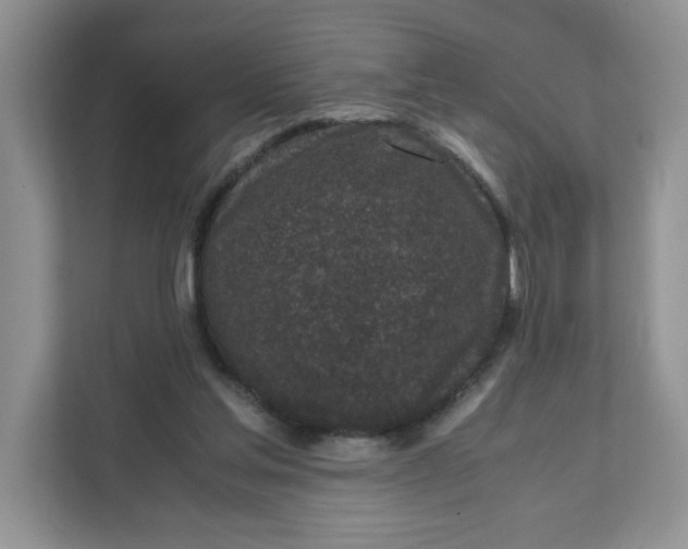 X0000111630205200908071418