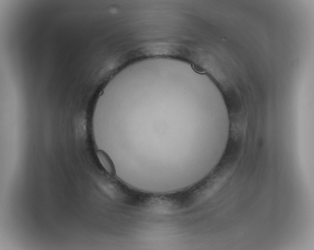 X0000111630207200908071418