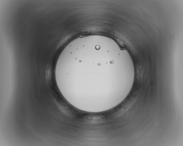 X0000111630208200908071418