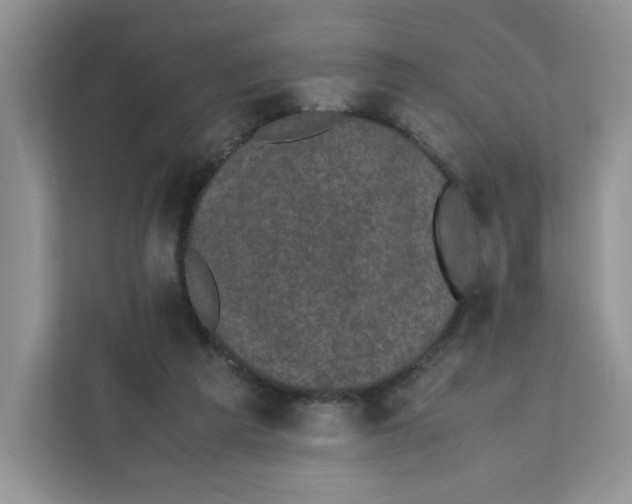 X0000111630209200908071418