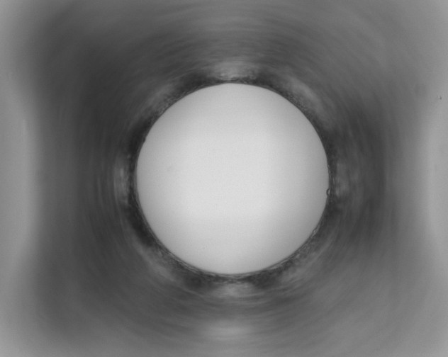 X0000111630210200908071418