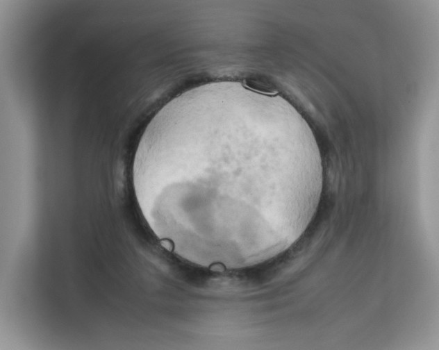 X0000111630211200908071418
