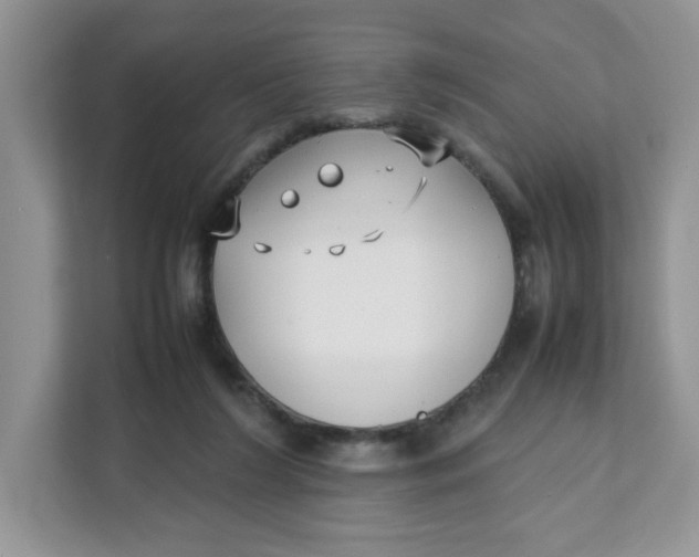 X0000111630212200908071418