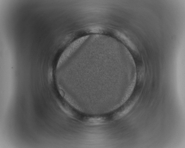 X0000111630213200908071418