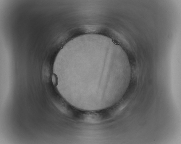 X0000111630215200908071418