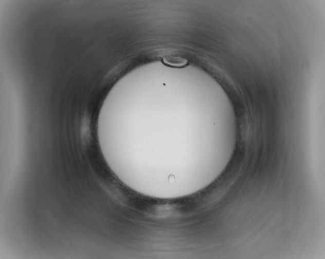 X0000111630216200908071418