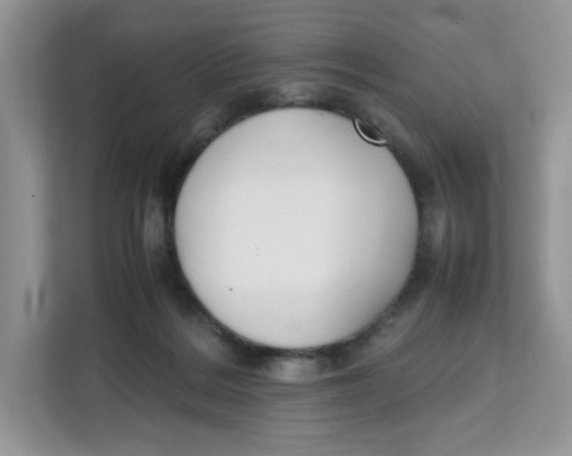 X0000111630220200908071418