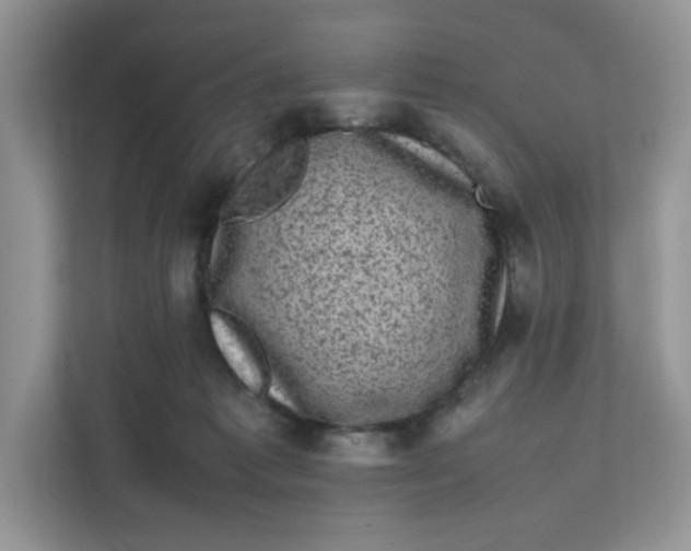 X0000111630221200908071418