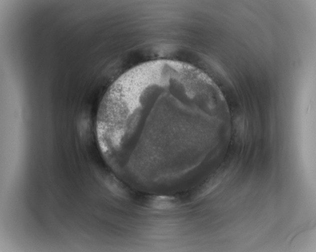 X0000111630222200908071418