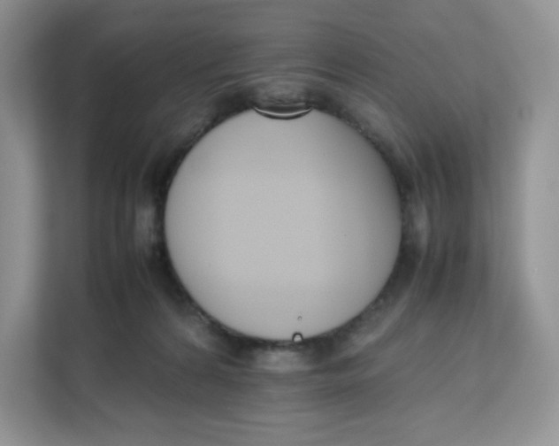 X0000111630224200908071418