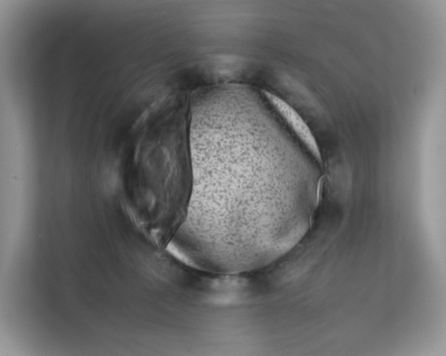X0000111630225200908071418