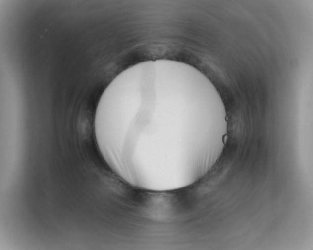 X0000111630226200908071418