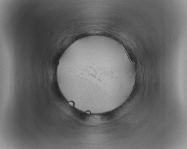 X0000111630227200908071418