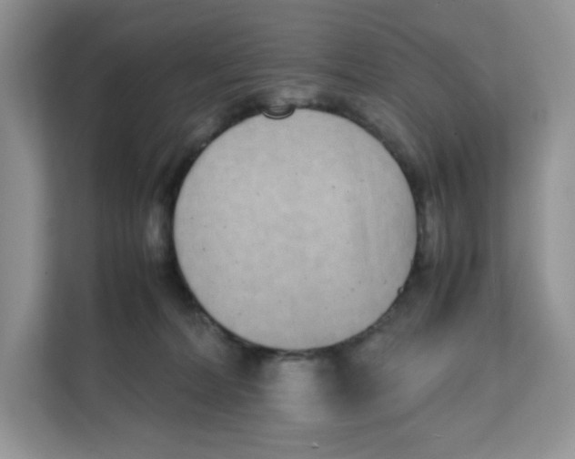 X0000111630228200908071417