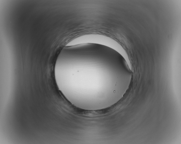 X0000111630229200908071417