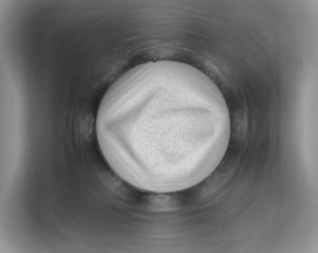 X0000111630230200908071417