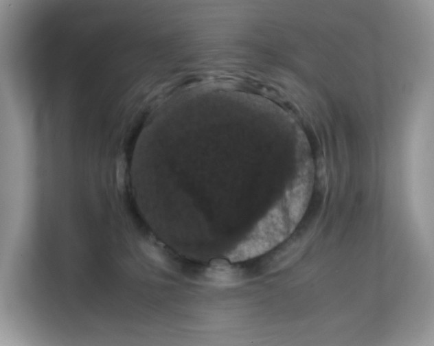 X0000111630231200908071417