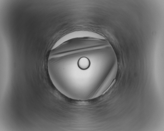 X0000111630233200908071417
