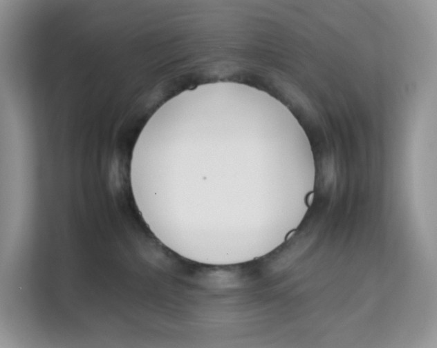 X0000111630236200908071417