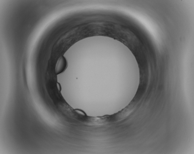 X0000111630239200908071417