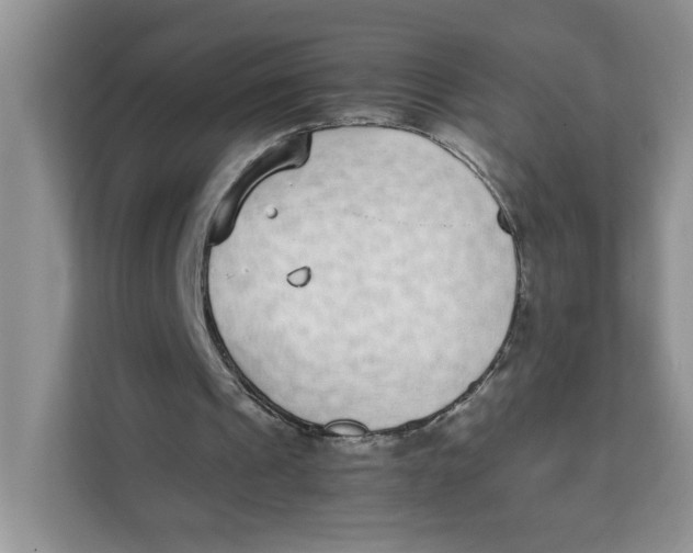 X0000111630241200908071417