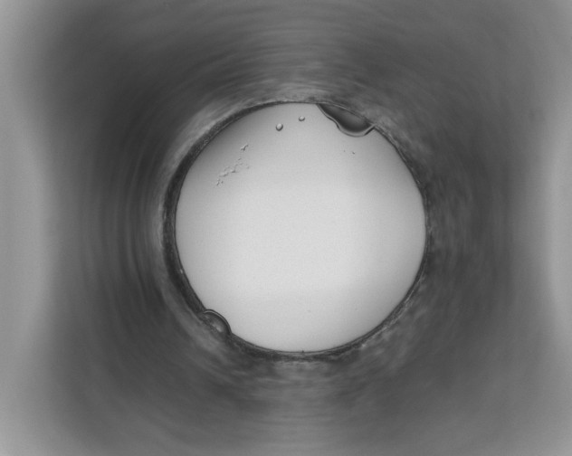 X0000111630242200908071417