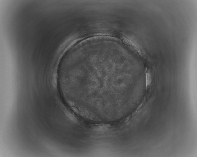 X0000111630243200908071417