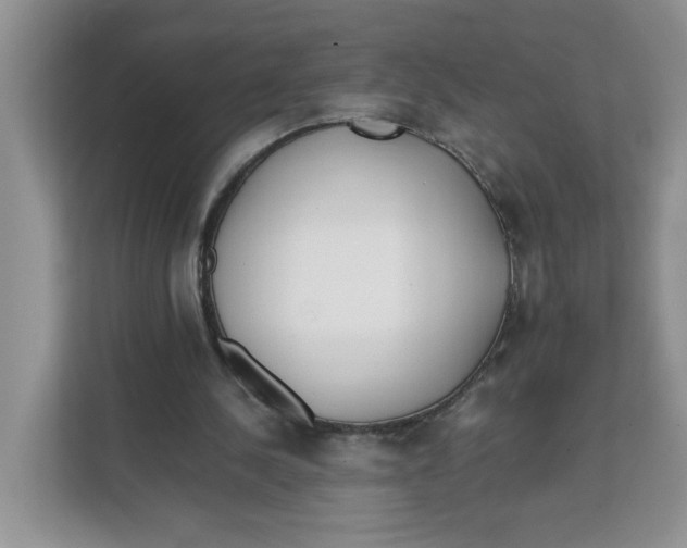 X0000111630244200908071417