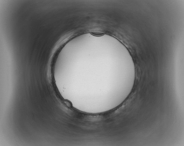 X0000111630245200908071417