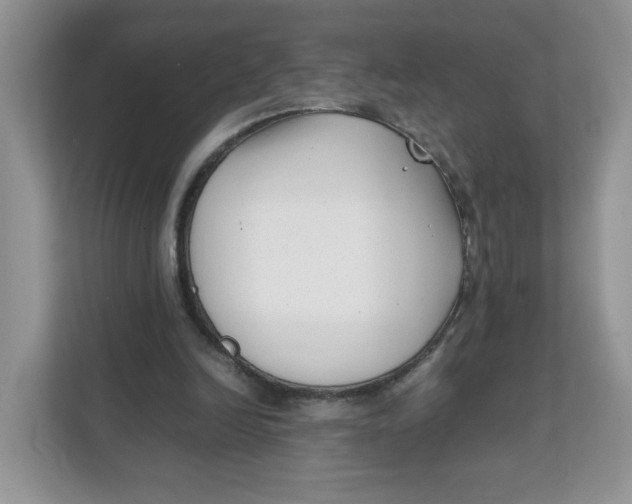 X0000111630246200908071417