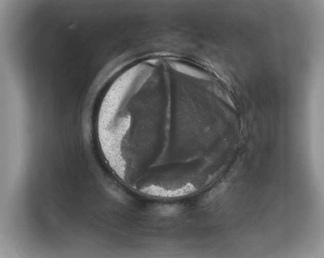 X0000111630247200908071417