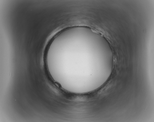 X0000111630248200908071417