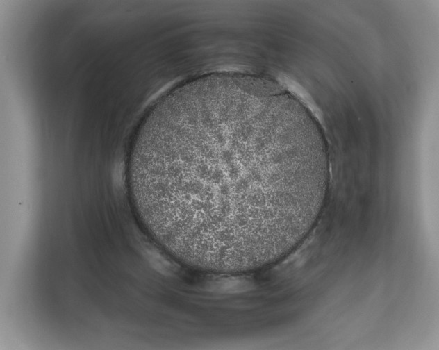 X0000111630249200908071417