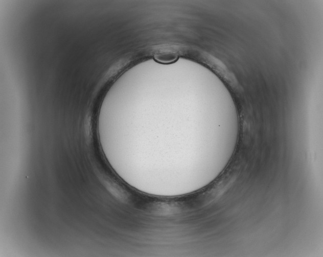 X0000111630250200908071417